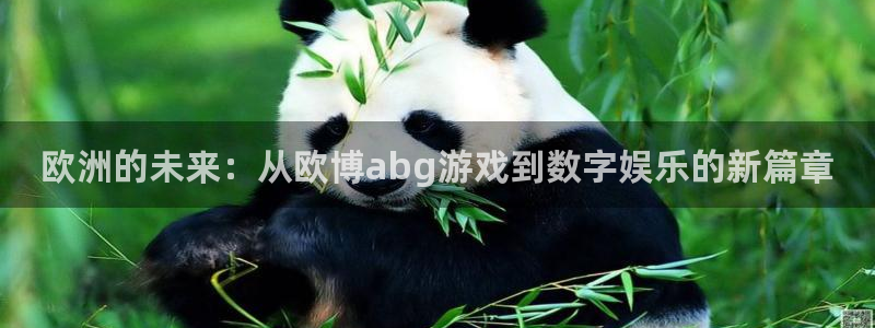 极悦娱乐平台官方入口下载：欧洲的未来：从欧博abg游戏到数字娱乐的新篇章