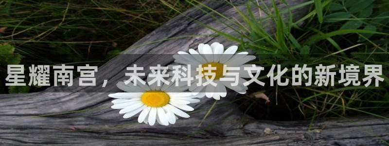 极悦娱乐娱乐：星耀南宫，未来科技与文化的新境界
