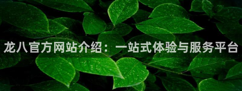 极悦娱乐体育app下载：龙八官方网站介绍：一站式体验与服务平台