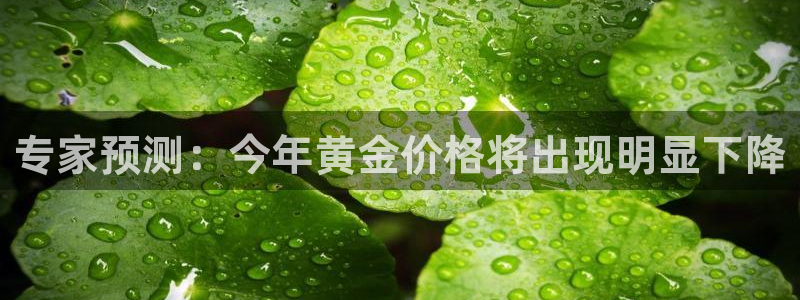 极悦娱乐在线下载：专家预测：今年黄金价格将出现明显下降