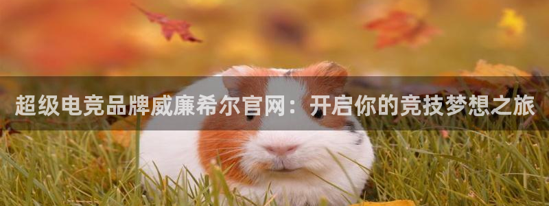 极悦娱乐app 是什么：超级电竞品牌威廉希尔官网：开启你的竞技梦想之旅