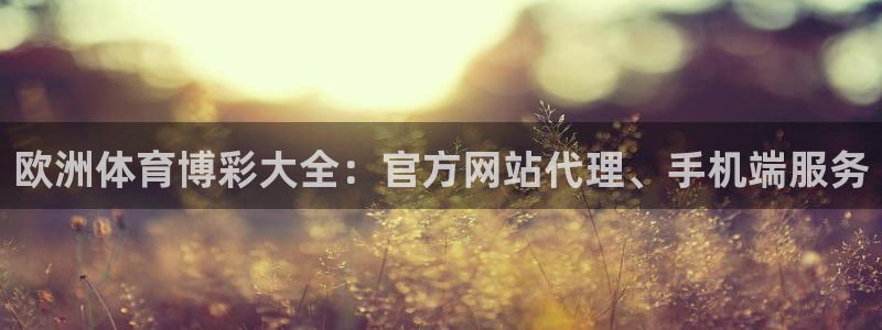 极悦娱乐官网版：欧洲体育博彩大全：官方网站代理、手机端服务