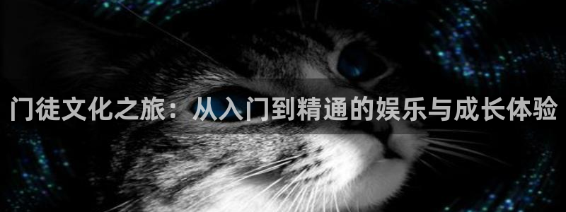 极悦娱乐是赌博吗：门徒文化之旅：从入门到精通的娱乐与成长体验