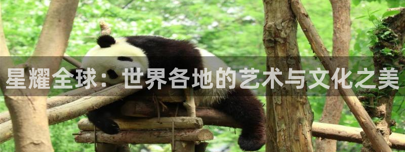 极悦娱乐平台注册：星耀全球：世界各地的艺术与文化之美