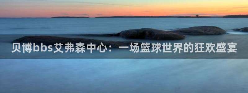 极悦娱乐5招商：贝博bbs艾弗森中心：一场篮球世界的狂欢盛宴