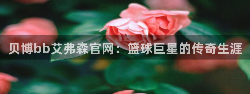 极悦娱乐kgame：贝博bb艾弗森官网：篮球巨星的传奇生涯