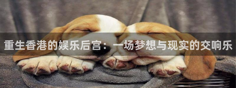极悦娱乐2官网：重生香港的娱乐后宫：一场梦想与现实的交响乐