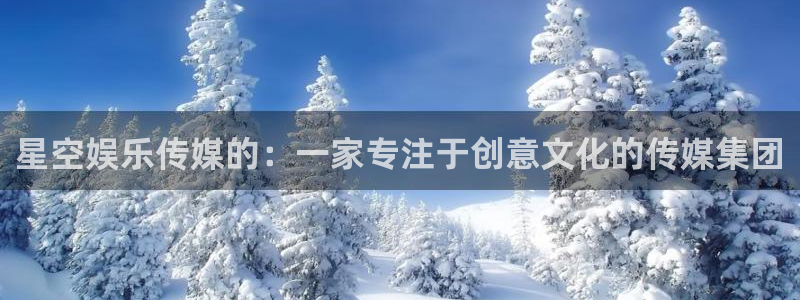 极悦娱乐pg电子游戏在线玩：星空娱乐传媒的：一家专注于创意文化的传媒集团
