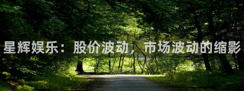 极悦娱乐平台招商：星辉娱乐：股价波动，市场波动的缩影