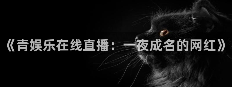 极悦娱乐平台官方入口：《青娱乐在线直播：一夜成名的网红》