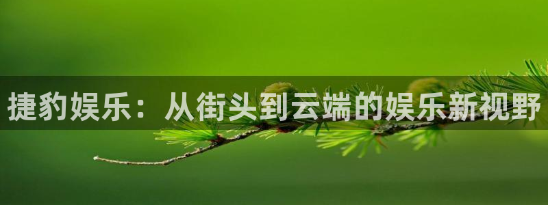 极悦娱乐官网版：捷豹娱乐：从街头到云端的娱乐新视野