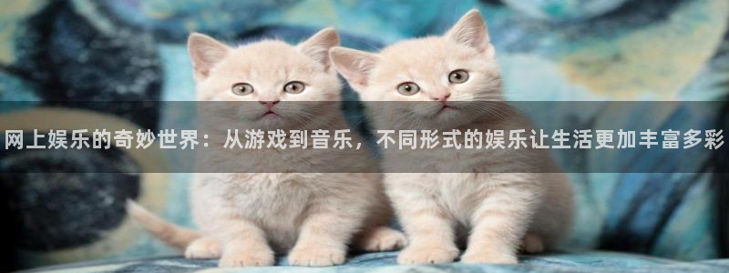 极悦娱乐软件：网上娱乐的奇妙世界：从游戏到音乐，不同形式的娱乐让生活更加丰富多彩