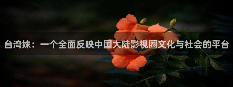 极悦娱乐软件：台湾妹：一个全面反映中国大陆影视圈文化与社会的平台