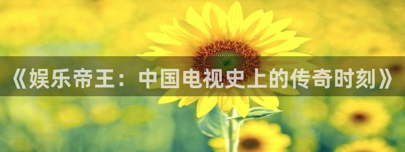 极悦娱乐5招商：《娱乐帝王：中国电视史上的传奇时刻》