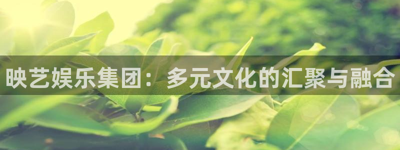 极悦娱乐的平台：映艺娱乐集团：多元文化的汇聚与融合