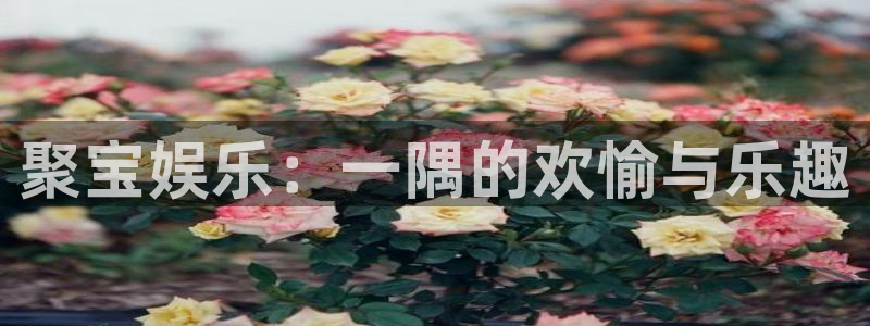 极悦娱乐.com：聚宝娱乐：一隅的欢愉与乐趣