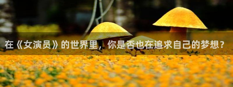极悦娱乐平台注册：在《女演员》的世界里，你是否也在追求自己的梦想？