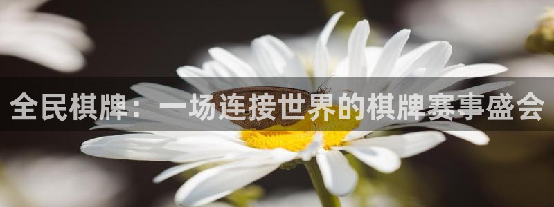 极悦娱乐注册网站app：全民棋牌：一场连接世界的棋牌赛事盛会