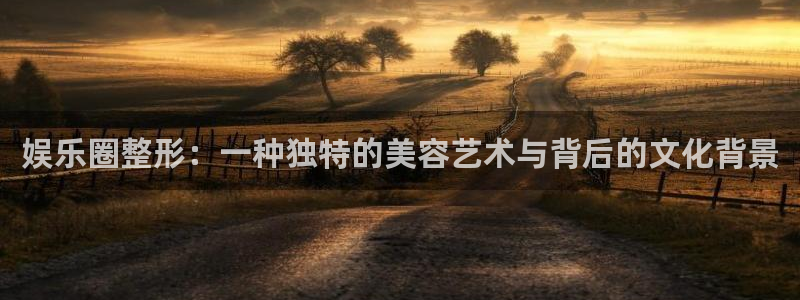 极悦娱乐游戏有哪些好玩的：娱乐圈整形：一种独特的美容艺术与背后的文化背景