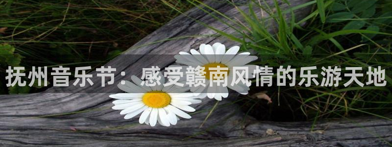 极悦娱乐体育4：抚州音乐节：感受赣南风情的乐游天地
