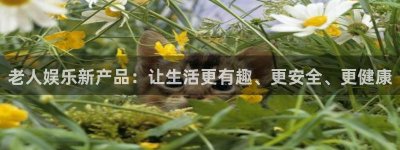 极悦娱乐体育注册代理：老人娱乐新产品：让生活更有趣、更安全、更健康