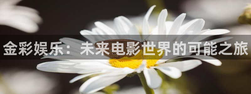 极悦娱乐放水时间：金彩娱乐：未来电影世界的可能之旅