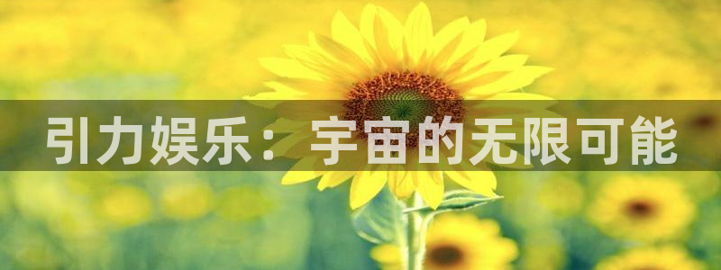 极悦娱乐平台官方入口下载：引力娱乐：宇宙的无限可能