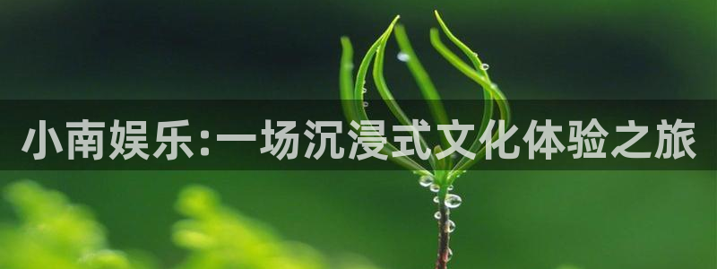极悦娱乐集团：小南娱乐:一场沉浸式文化体验之旅