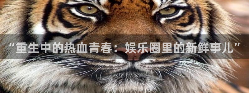极悦娱乐2体育：“重生中的热血青春：娱乐圈里的新鲜事儿”