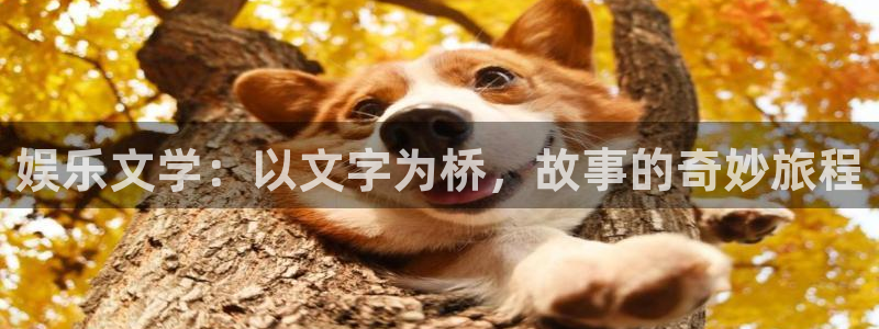 极悦娱乐2平台注册：娱乐文学：以文字为桥，故事的奇妙旅程